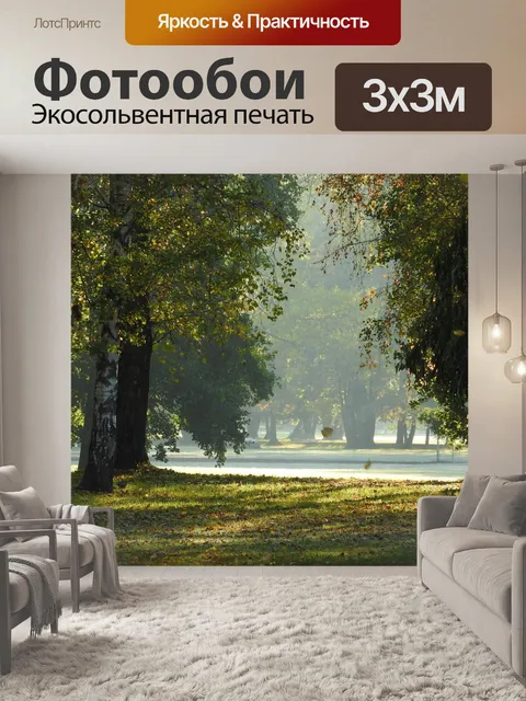 Фотообои Деревья осенью