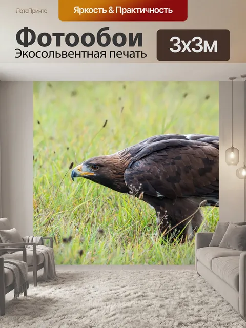 Фотообои Золотой орел
