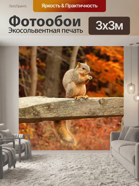 Фотообои Белка на заборе