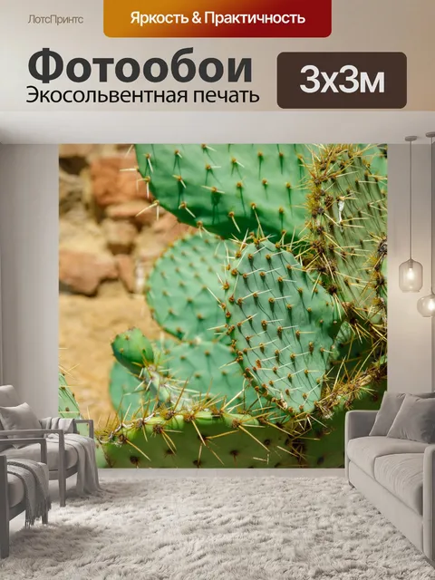 Фотообои Кактус опунции