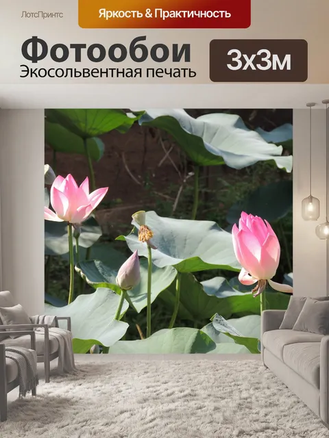 Фотообои Лотос
