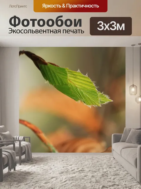 Фотообои Бук