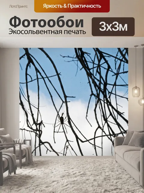 Фотообои золотой шар ткач паук на паутине