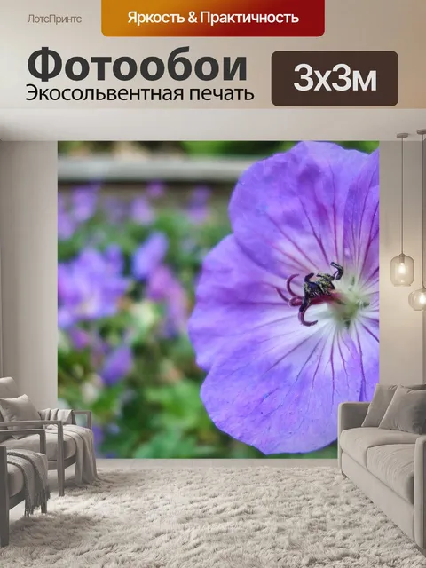 Фотообои Индиго