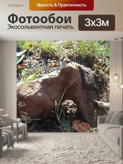 Фотообои неправильный камень с арочным отверстием