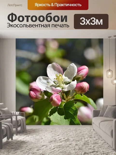 Фотообои Цветение яблони