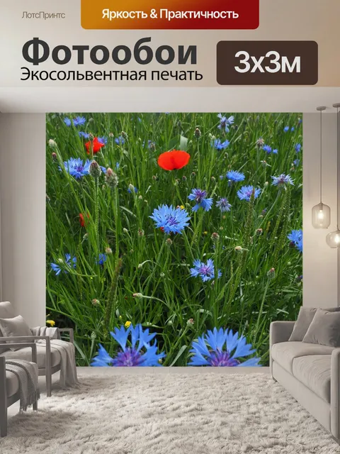Фотообои Васильки