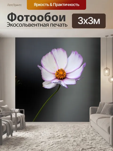 Фотообои Космос