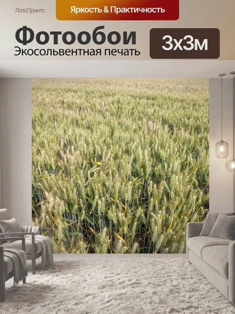 Фотообои Золотое пшеничное поле и солнечный день