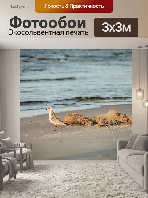 Фотообои Чайка