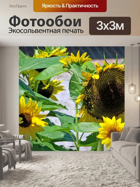 Фотообои Подсолнухи