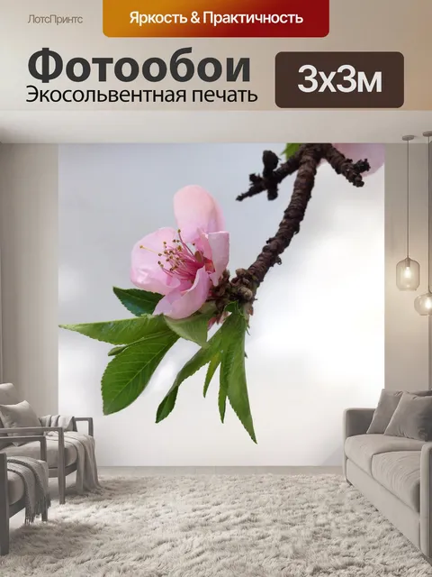 Фотообои Цветок сливы