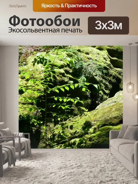 Фотообои Покрытые мхом камни
