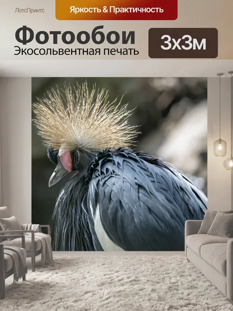 Фотообои Серый венценосный журавль