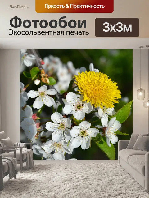 Фотообои Вишня в