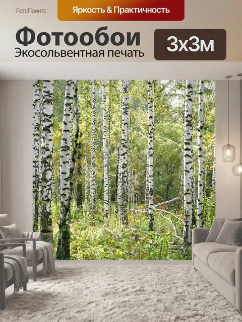 Фотообои Берёзы