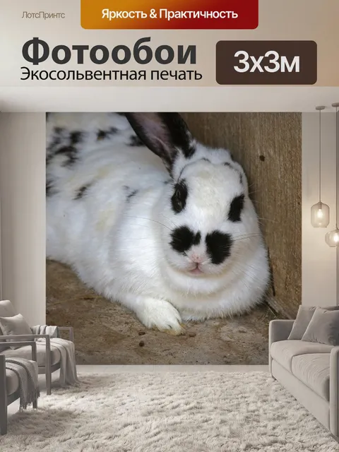 Фотообои закрыть вид черно-белый кролик