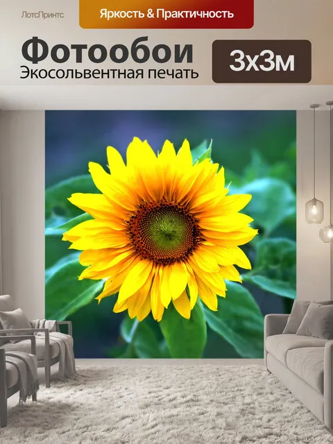 Фотообои Подсолнух