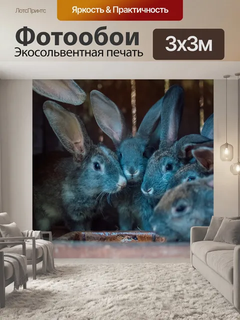 Фотообои Кролики