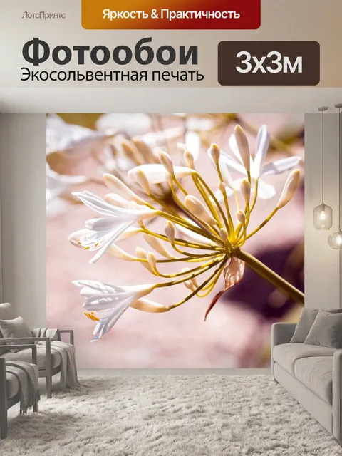 Фотообои Декоративная лилия