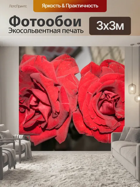 Фотообои Красные розы