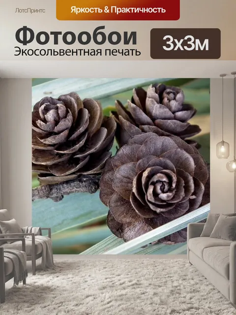 Фотообои Шишки