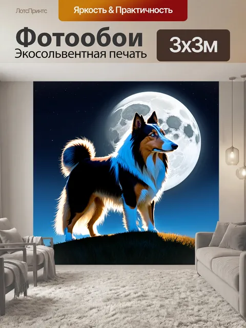 Фотообои колли, стоящий на вершине холма при луне, его контуры подсвечены мягким лунным светом