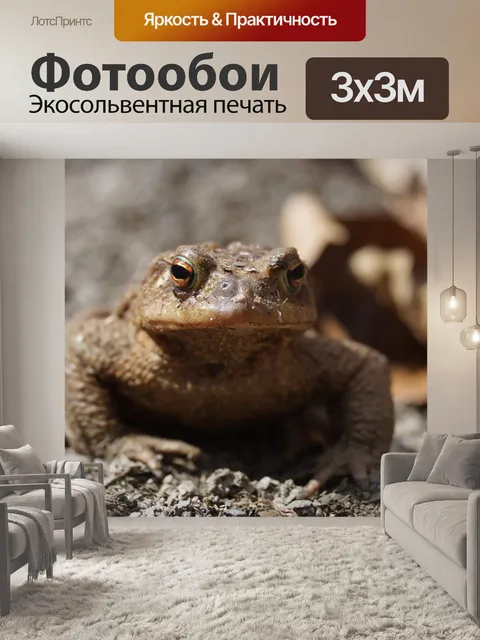 Фотообои Дикая природа