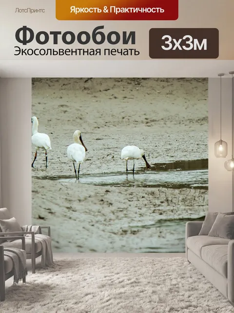 Фотообои Аист