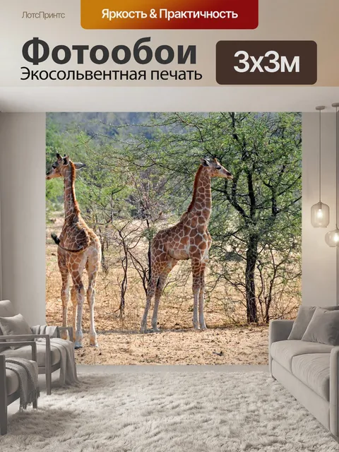 Фотообои Африке