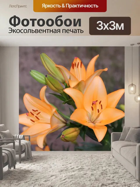 Фотообои Лили
