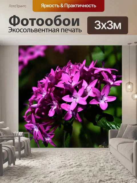 Фотообои Египетское звездное скопление