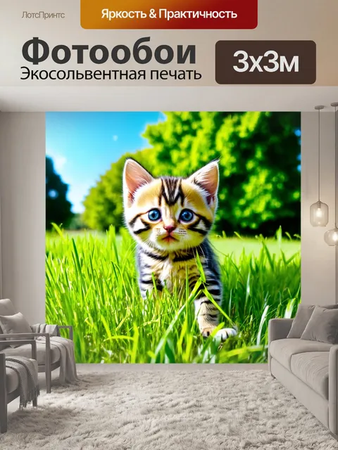 Фотообои котик, исследующий высокую траву в парке на фоне ярко-голубого неба и зелёных деревьев, с любопытным…
