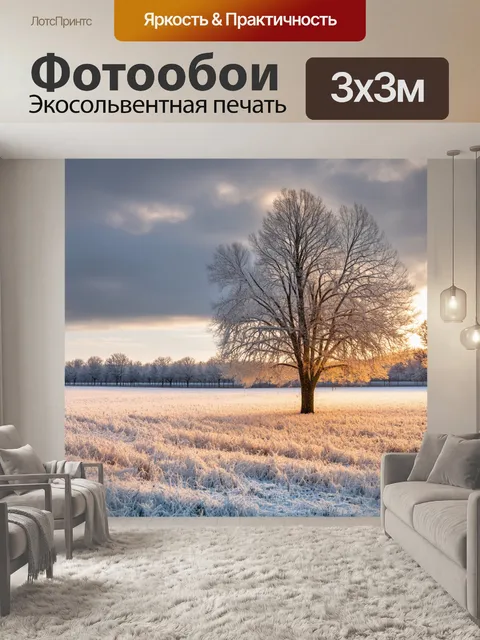Фотообои зимний пейзаж с широкими полями и редкими деревьями, поросшими инеем и золотистым светом
