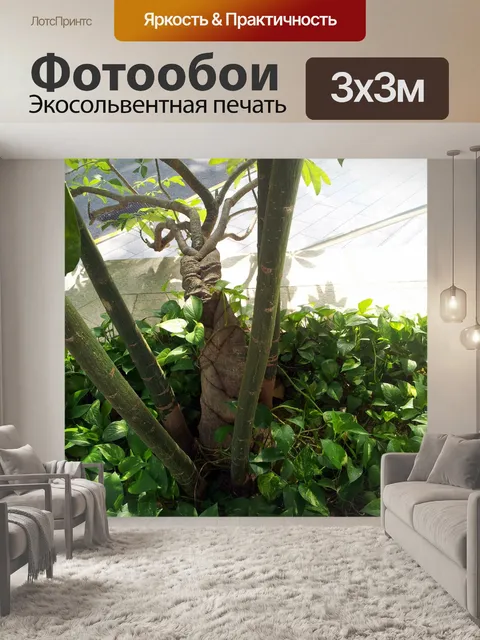 Фотообои изогнутая ветвь дерева