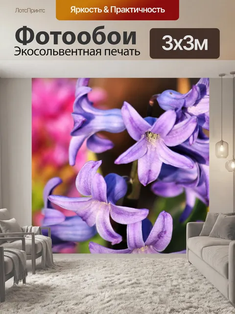 Фотообои Фиолетовый гиацинт цветет крупным планом