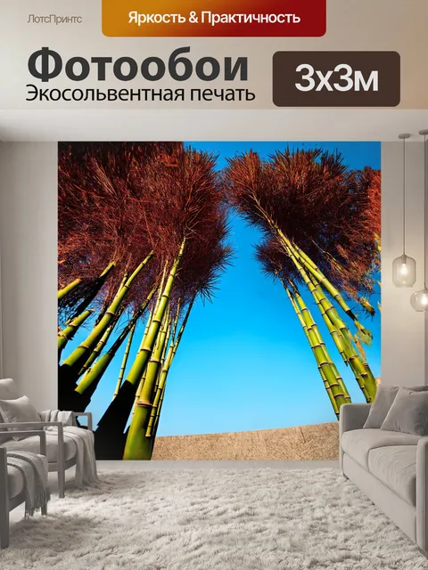 Фотообои высокие стебли бамбука на фоне яркого голубого неба