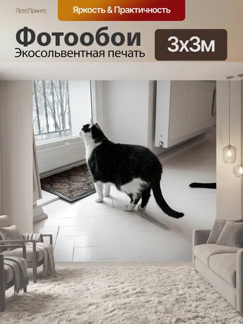 Фотообои В помещении