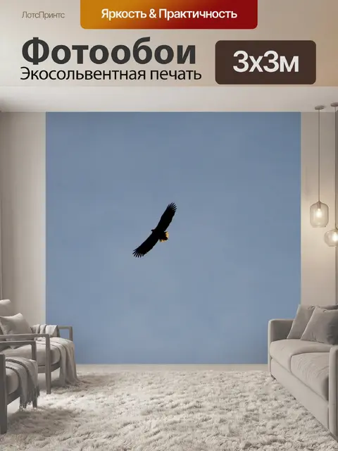 Фотообои Орел