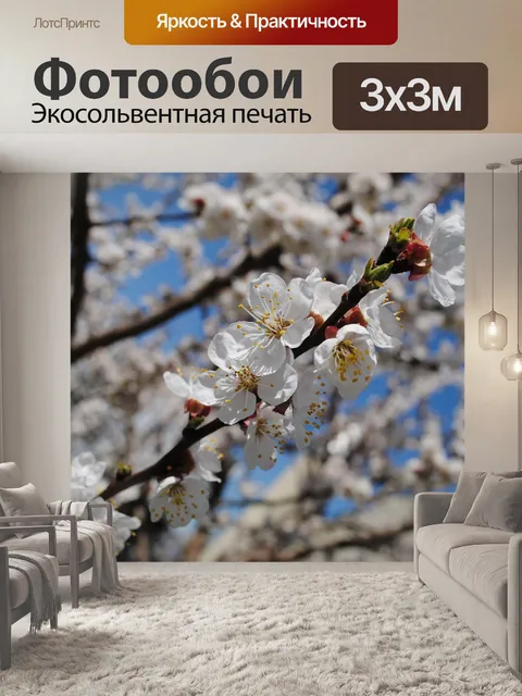 Фотообои Небо
