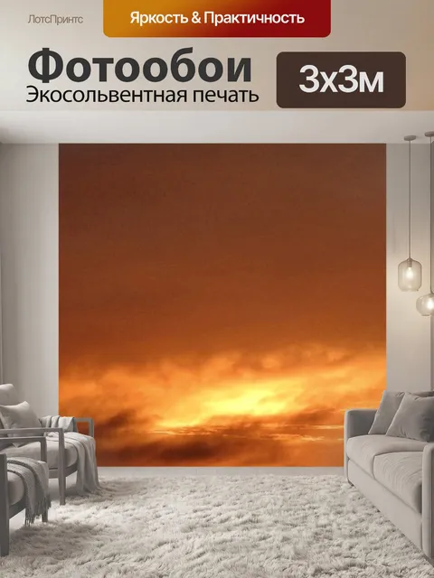 Фотообои Птица