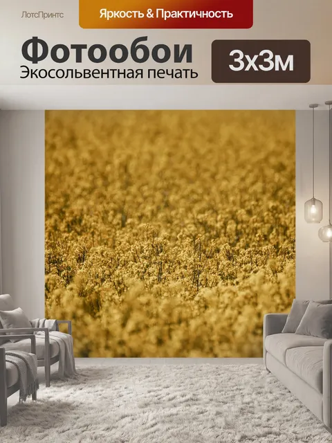 Фотообои Рапс