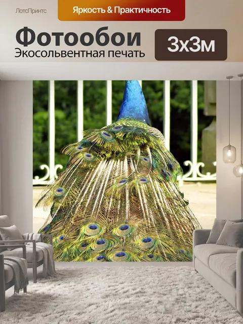 Фотообои Павлин