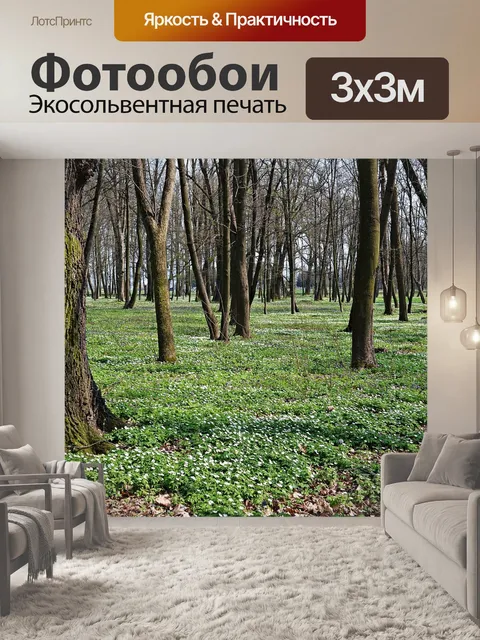 Фотообои Лес