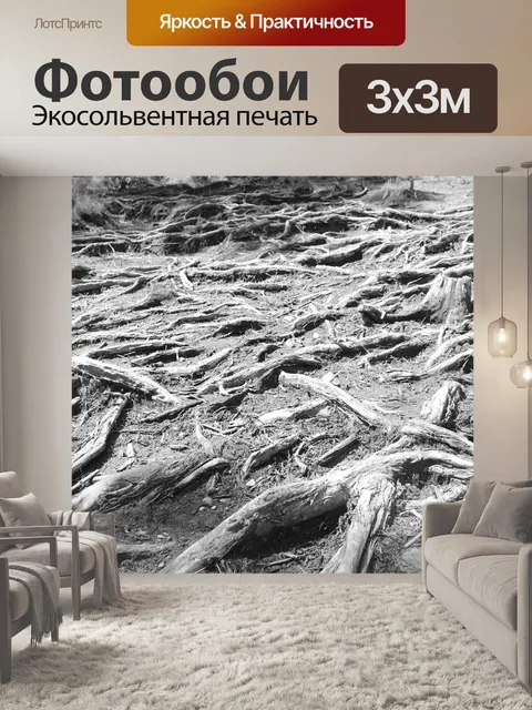 Фотообои Черное и белое