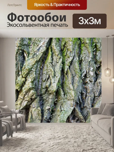 Фотообои Кора