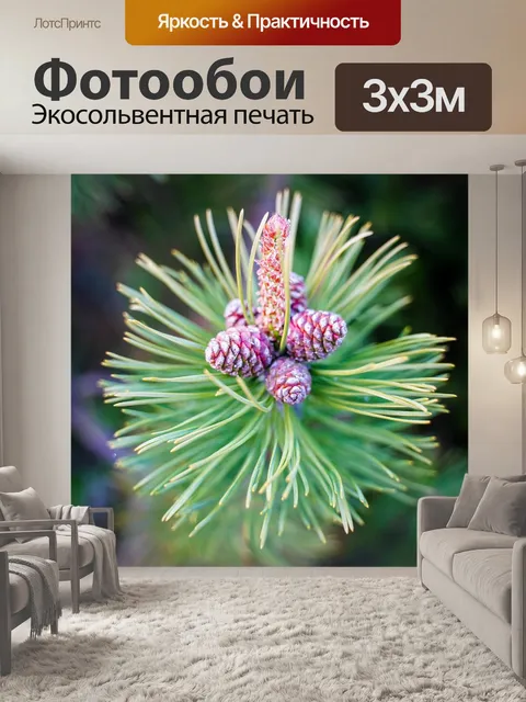 Фотообои Нажмите