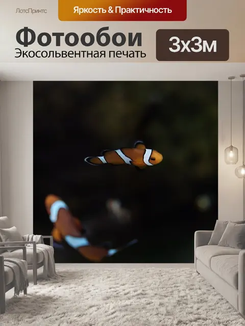 Фотообои Рыба клоун