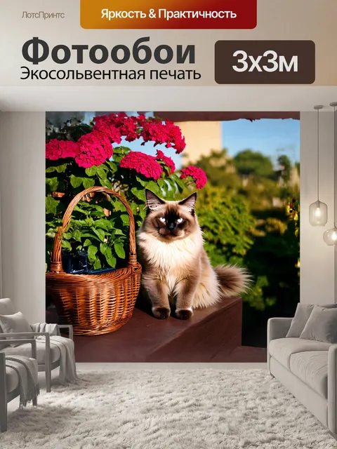 Фотообои на жилом балконе, зеленью заросшем, священный бирманский кот наслаждается теплым летним вечерком, прильнув к…