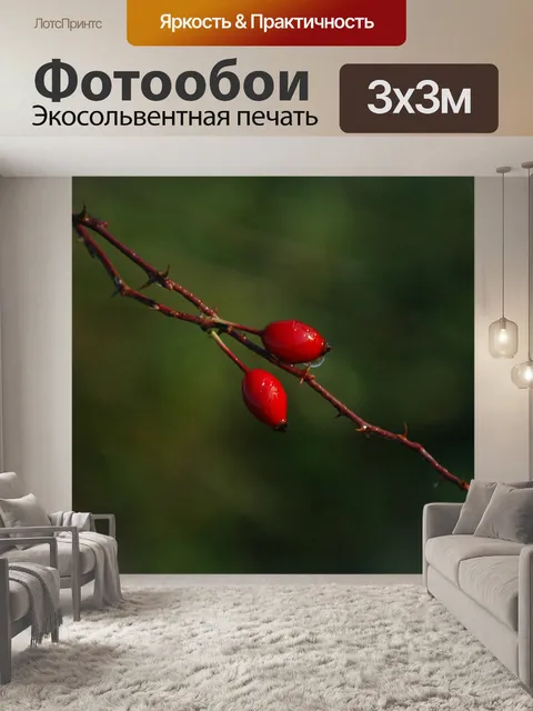 Фотообои Природа
